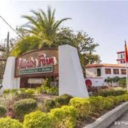 Beach Side Complex B23 1 Bed 1 Bath W/Heated Pool St. Augustine Exterior photo